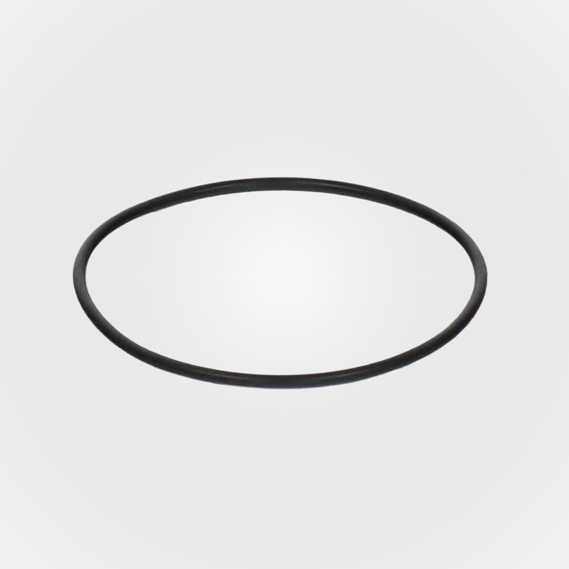 O-Ring Urin-Tank