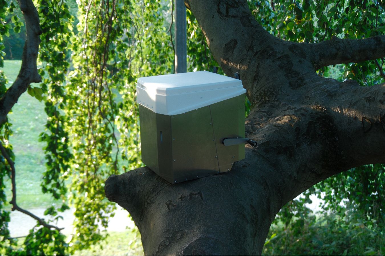 Es wird eine Komposttoilette gezeigt, die standortunabhängig in der Natur auf einem Baum platziert wurde