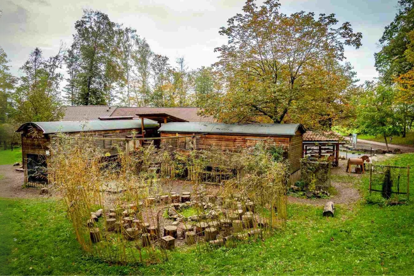 Das Bild eines schönen Waldkindergarten in grün blühender Natur. Es ist der Ideale Einsatzort für nachhaltige Komposttoiletten.